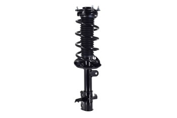 Suspension Strut and Coil Spring Assembly