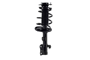 Suspension Strut and Coil Spring Assembly