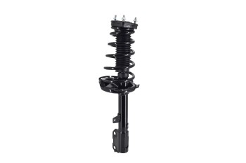 Suspension Strut and Coil Spring Assembly