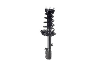 Suspension Strut and Coil Spring Assembly