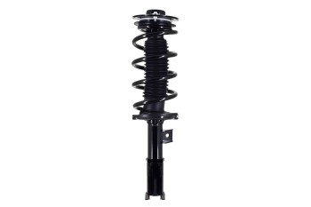 Suspension Strut and Coil Spring Assembly