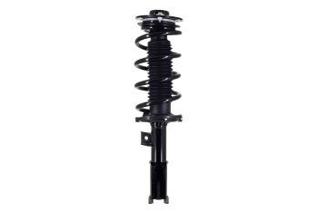 Suspension Strut and Coil Spring Assembly