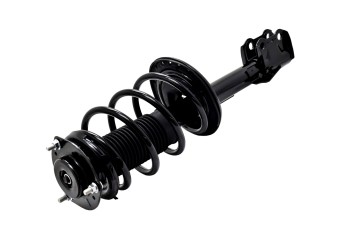Suspension Strut and Coil Spring Assembly