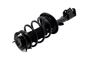 Suspension Strut and Coil Spring Assembly
