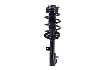 Suspension Strut and Coil Spring Assembly