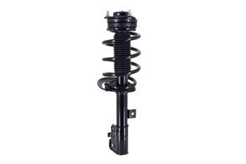 Suspension Strut and Coil Spring Assembly