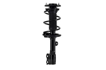 Suspension Strut and Coil Spring Assembly