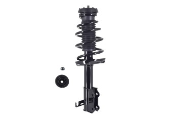 Suspension Strut and Coil Spring Assembly