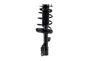 Suspension Strut and Coil Spring Assembly