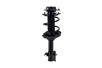 Suspension Strut and Coil Spring Assembly