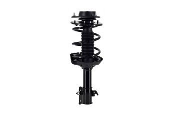 Suspension Strut and Coil Spring Assembly