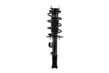 Suspension Strut and Coil Spring Assembly