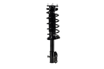 Suspension Strut and Coil Spring Assembly