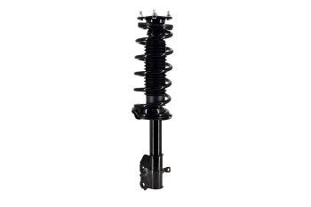 Suspension Strut and Coil Spring Assembly