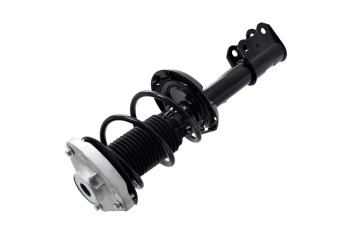 Suspension Strut and Coil Spring Assembly