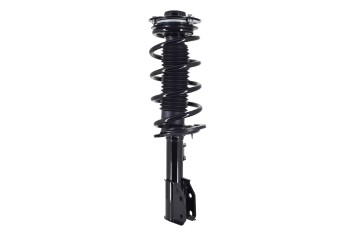 Suspension Strut and Coil Spring Assembly
