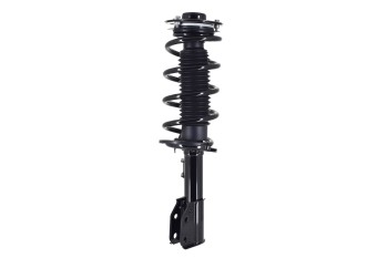 Suspension Strut and Coil Spring Assembly