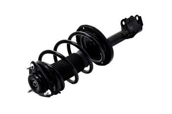 Suspension Strut and Coil Spring Assembly