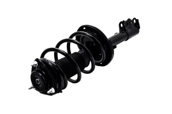 Suspension Strut and Coil Spring Assembly