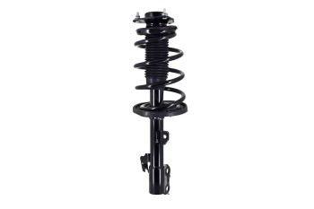 Suspension Strut and Coil Spring Assembly