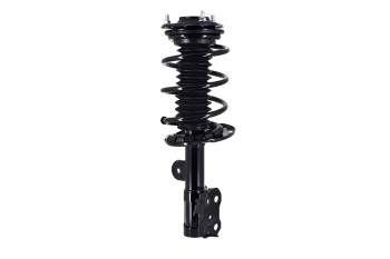 Suspension Strut and Coil Spring Assembly