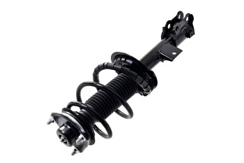 Suspension Strut and Coil Spring Assembly