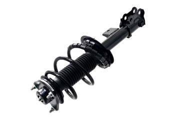 Suspension Strut and Coil Spring Assembly
