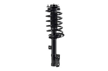 Suspension Strut and Coil Spring Assembly