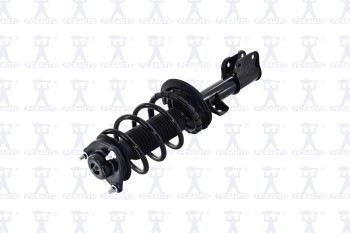 Suspension Strut and Coil Spring Assembly