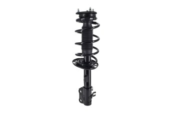 Suspension Strut and Coil Spring Assembly