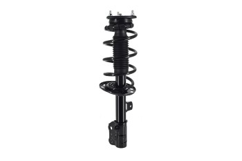 Suspension Strut and Coil Spring Assembly