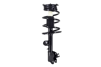 Suspension Strut and Coil Spring Assembly