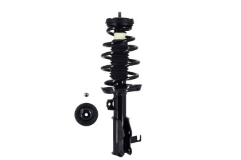 Suspension Strut and Coil Spring Assembly