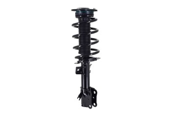Suspension Strut and Coil Spring Assembly