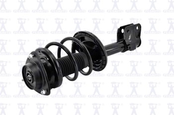Suspension Strut and Coil Spring Assembly