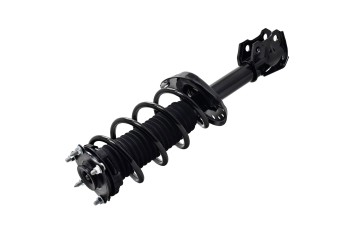 Suspension Strut and Coil Spring Assembly