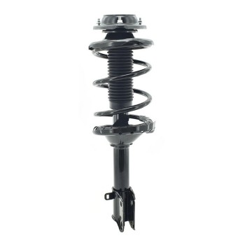 Suspension Strut and Coil Spring Assembly