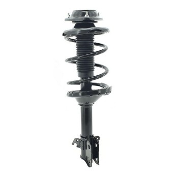 Suspension Strut and Coil Spring Assembly
