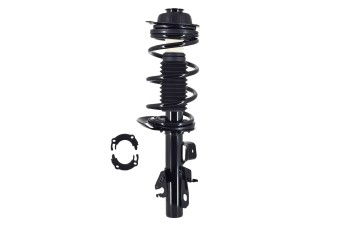 Suspension Strut and Coil Spring Assembly