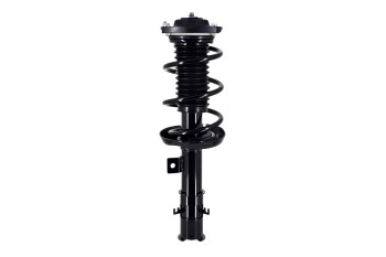 Suspension Strut and Coil Spring Assembly
