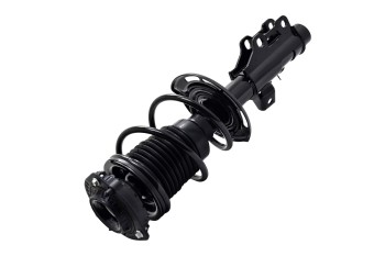 Suspension Strut and Coil Spring Assembly