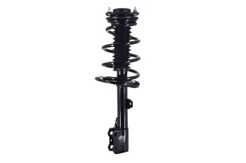 Suspension Strut and Coil Spring Assembly