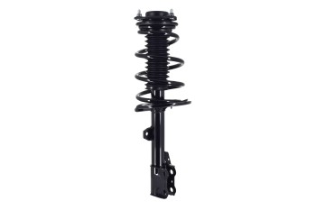 Suspension Strut and Coil Spring Assembly