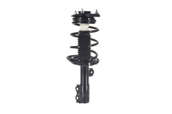 Suspension Strut and Coil Spring Assembly