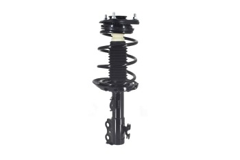 Suspension Strut and Coil Spring Assembly