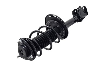 Suspension Strut and Coil Spring Assembly