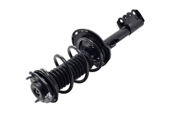 Suspension Strut and Coil Spring Assembly