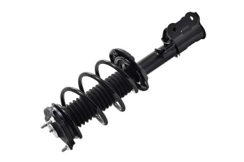 Suspension Strut and Coil Spring Assembly