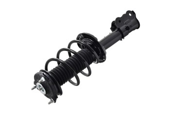 Suspension Strut and Coil Spring Assembly