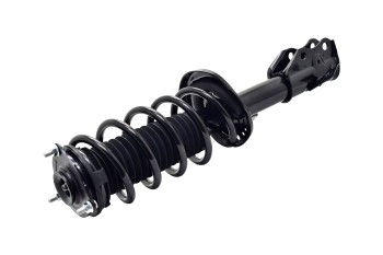 Suspension Strut and Coil Spring Assembly
